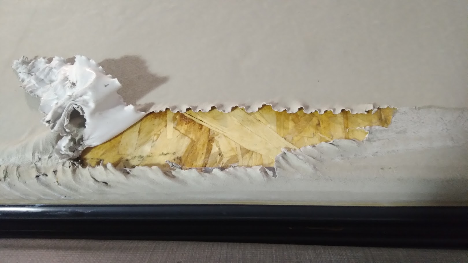 Ripped RV siding
